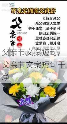 父亲节文案短句,父亲节文案短句干净