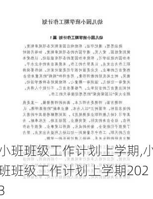 小班班级工作计划上学期,小班班级工作计划上学期2023