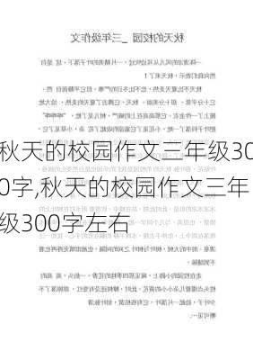 秋天的校园作文三年级300字,秋天的校园作文三年级300字左右