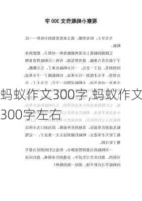 蚂蚁作文300字,蚂蚁作文300字左右