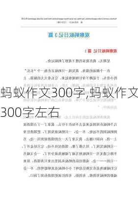 蚂蚁作文300字,蚂蚁作文300字左右