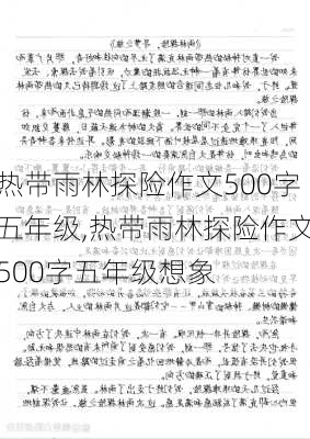 热带雨林探险作文500字五年级,热带雨林探险作文500字五年级想象