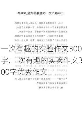 一次有趣的实验作文300字,一次有趣的实验作文300字优秀作文