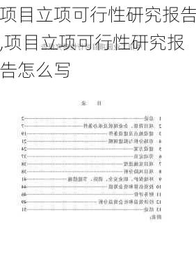 项目立项可行性研究报告,项目立项可行性研究报告怎么写