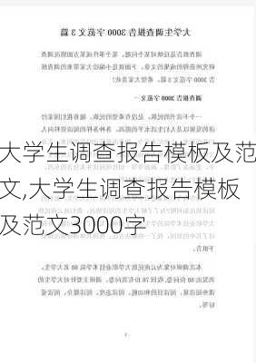 大学生调查报告模板及范文,大学生调查报告模板及范文3000字