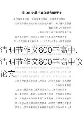 清明节作文800字高中,清明节作文800字高中议论文