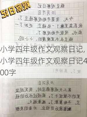 小学四年级作文观察日记,小学四年级作文观察日记400字