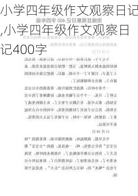 小学四年级作文观察日记,小学四年级作文观察日记400字