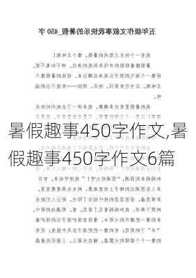 暑假趣事450字作文,暑假趣事450字作文6篇