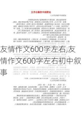 友情作文600字左右,友情作文600字左右初中叙事