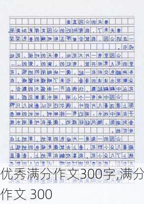 优秀满分作文300字,满分作文 300