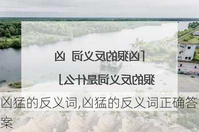 凶猛的反义词,凶猛的反义词正确答案