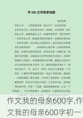 作文我的母亲600字,作文我的母亲600字初一