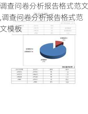 调查问卷分析报告格式范文,调查问卷分析报告格式范文模板