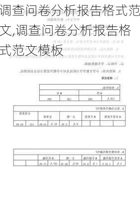 调查问卷分析报告格式范文,调查问卷分析报告格式范文模板