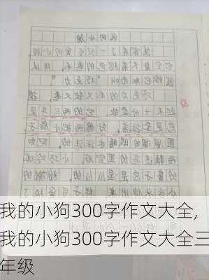 我的小狗300字作文大全,我的小狗300字作文大全三年级