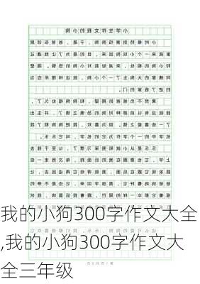 我的小狗300字作文大全,我的小狗300字作文大全三年级