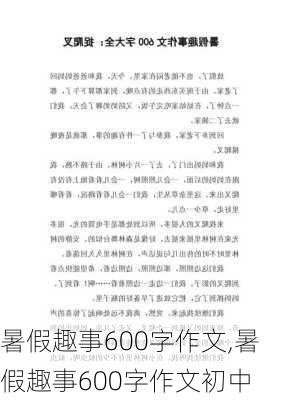 暑假趣事600字作文,暑假趣事600字作文初中