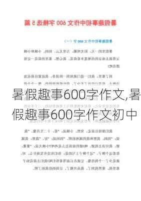 暑假趣事600字作文,暑假趣事600字作文初中