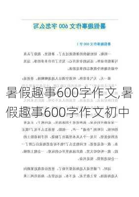 暑假趣事600字作文,暑假趣事600字作文初中