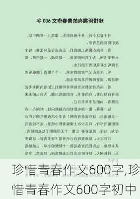 珍惜青春作文600字,珍惜青春作文600字初中