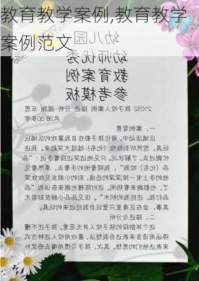 教育教学案例,教育教学案例范文