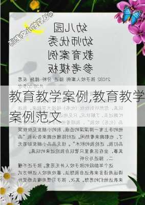 教育教学案例,教育教学案例范文