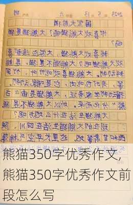 熊猫350字优秀作文,熊猫350字优秀作文前段怎么写