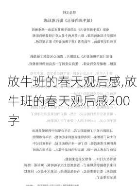 放牛班的春天观后感,放牛班的春天观后感200字