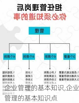 企业管理的基本知识,企业管理的基本知识点