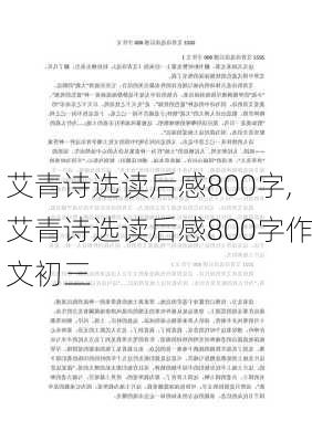 艾青诗选读后感800字,艾青诗选读后感800字作文初三