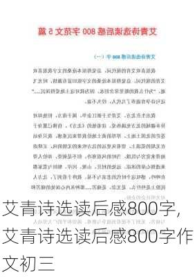 艾青诗选读后感800字,艾青诗选读后感800字作文初三