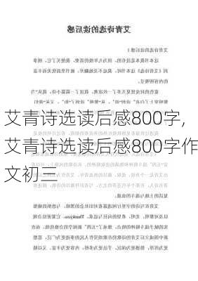 艾青诗选读后感800字,艾青诗选读后感800字作文初三