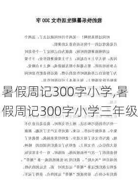 暑假周记300字小学,暑假周记300字小学三年级