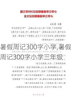 暑假周记300字小学,暑假周记300字小学三年级