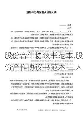 股份合作协议书范本,股份合作协议书范本 二人