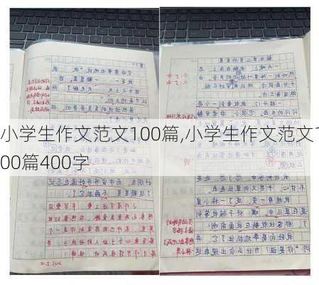 小学生作文范文100篇,小学生作文范文100篇400字