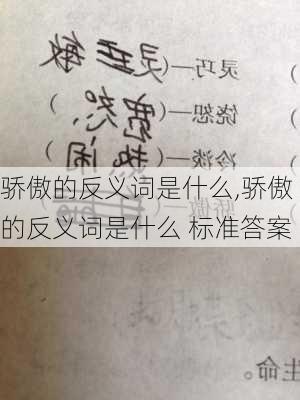 骄傲的反义词是什么,骄傲的反义词是什么 标准答案