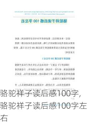 骆驼祥子读后感100字,骆驼祥子读后感100字左右