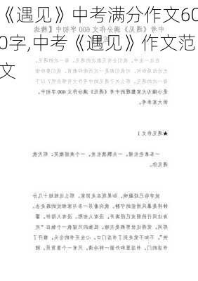 《遇见》中考满分作文600字,中考《遇见》作文范文