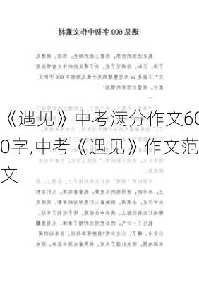 《遇见》中考满分作文600字,中考《遇见》作文范文