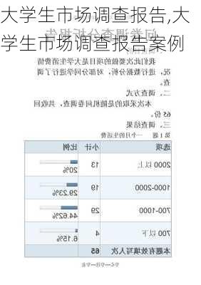 大学生市场调查报告,大学生市场调查报告案例