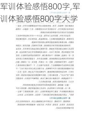 军训体验感悟800字,军训体验感悟800字大学