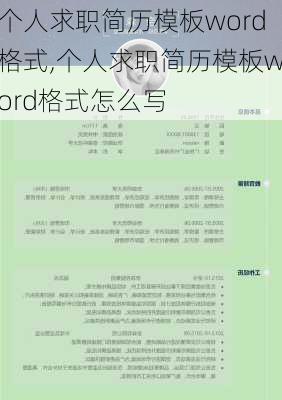 个人求职简历模板word格式,个人求职简历模板word格式怎么写