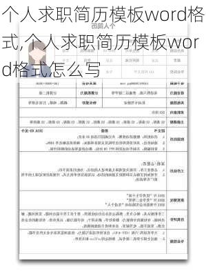 个人求职简历模板word格式,个人求职简历模板word格式怎么写