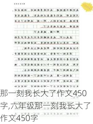 那一刻我长大了作文450字,六年级那一刻我长大了作文450字