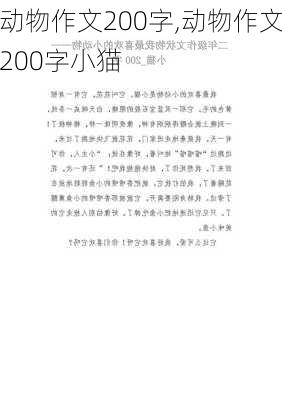 动物作文200字,动物作文200字小猫