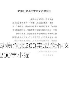 动物作文200字,动物作文200字小猫