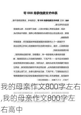 我的母亲作文800字左右,我的母亲作文800字左右高中