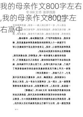 我的母亲作文800字左右,我的母亲作文800字左右高中